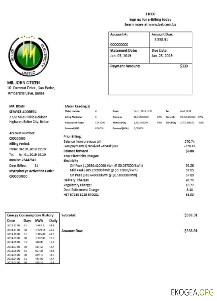 Belize Electricity Limited electricity utility bill template in Word and PDF format